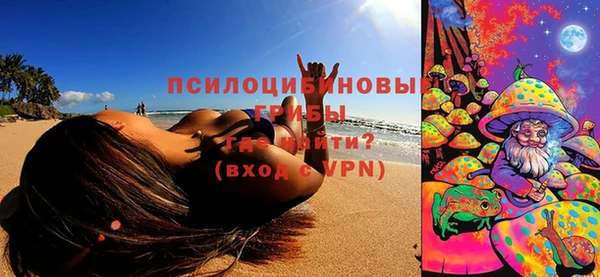 ECSTASY Новозыбков