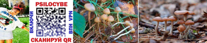 ссылка на мегу онион  Троицк  Галлюциногенные грибы MAGIC MUSHROOMS 